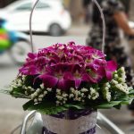Hoa Chúc Mừng CM50