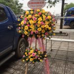 Hoa Khai Trương KT20
