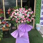 Hoa khai trương KT28