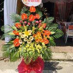 Hoa khai trương KT27