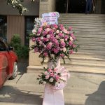 Hoa khai trương KT26